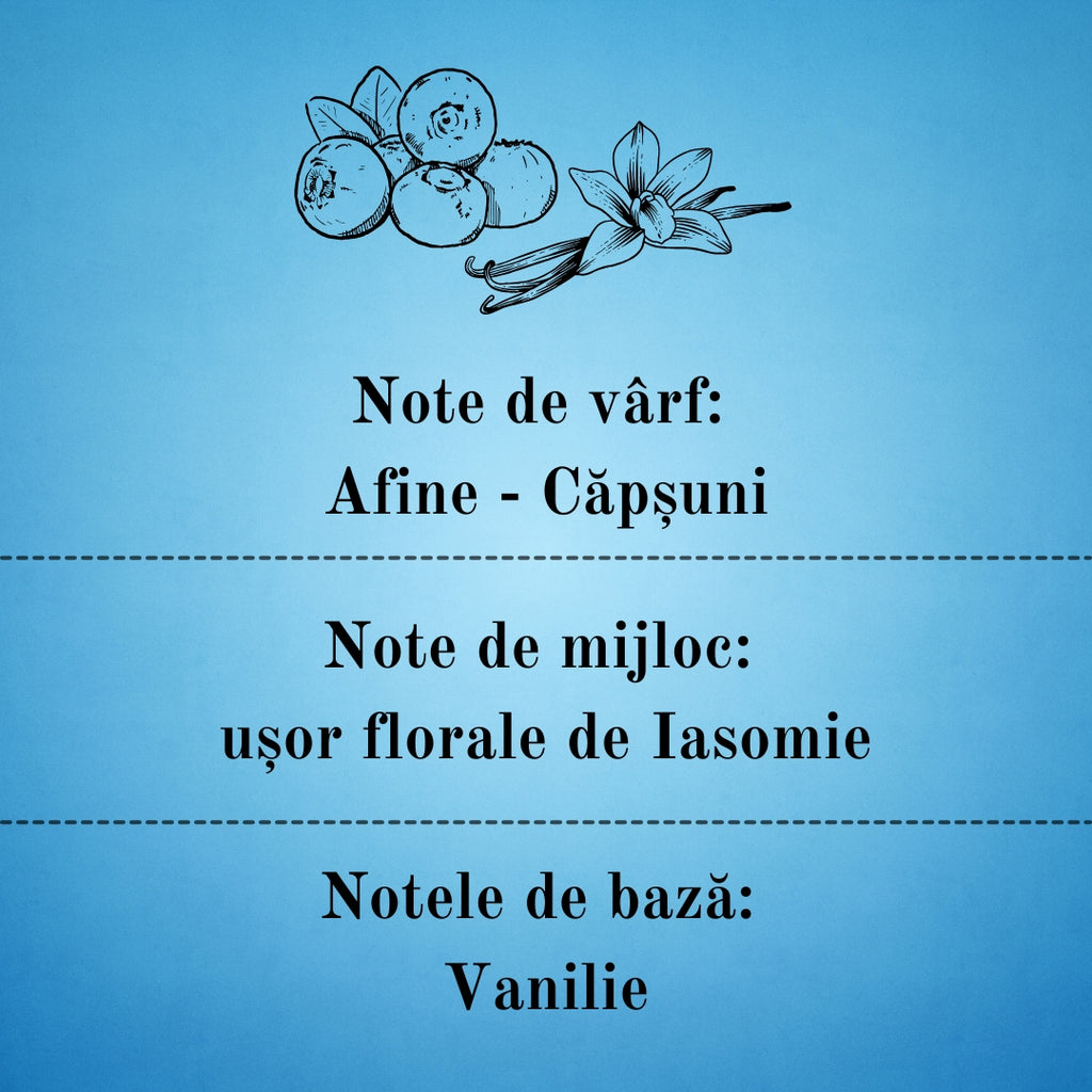 🫐BLUEBERRY VANILLA🍦 Lumânare parfumată decorativă, ceară naturală handmade