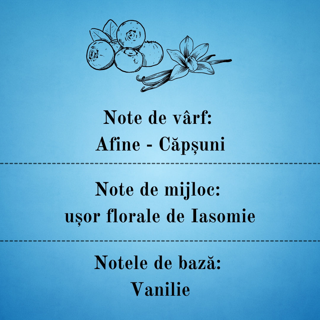 🫐BLUEBERRY VANILLA🍦 Lumânare parfumată decorativă, ceară naturală handmade