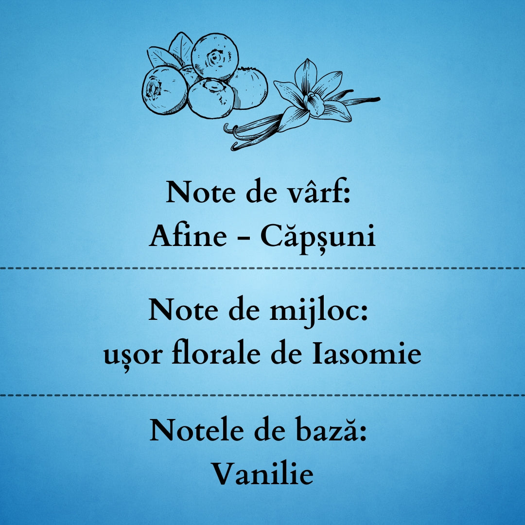 🫐BLUEBERRY VANILLA🍦 Odorizant de cameră natural cu bețișoare, bază ECO-FRIENDLY, handmade - Afine, Vanilie
