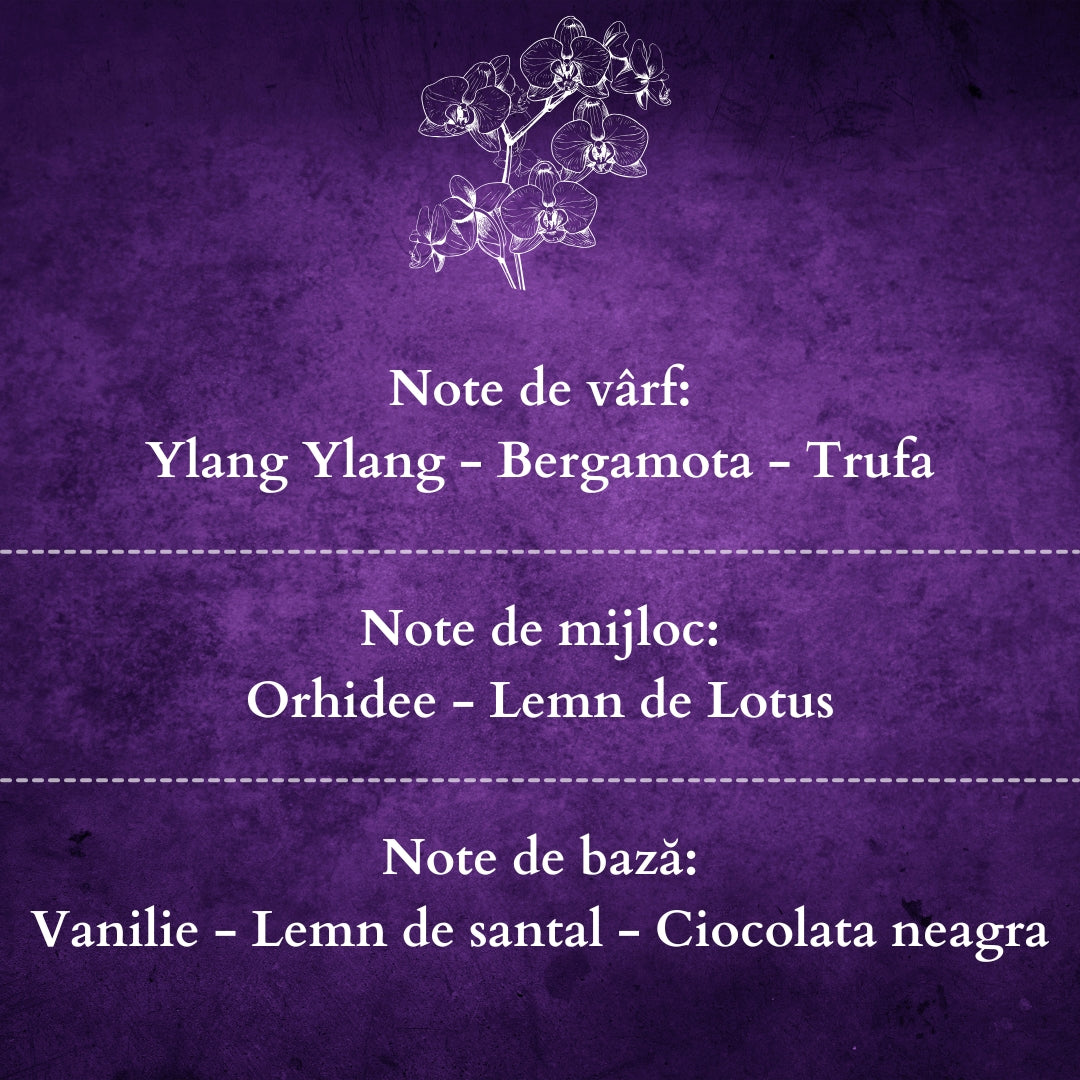 🪻BLACK ORCHID🪵 Odorizant de cameră natural cu bețișoare, bază ECO-FRIENDLY, handmade - Orhidee, Lemn de Santal, Ylang-Ylang