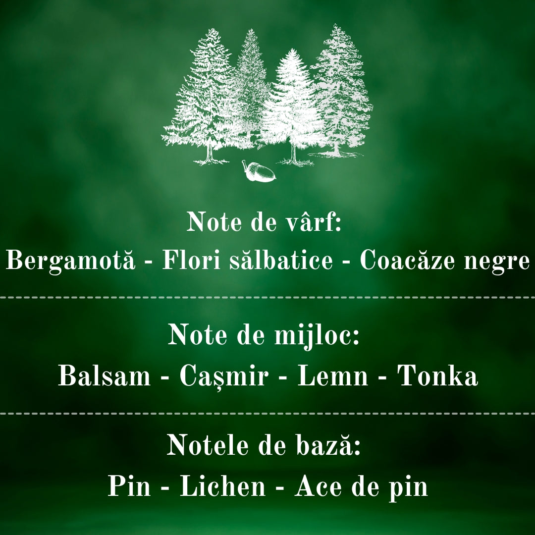 🌲ENCHANTED FOREST🪵 Lumânare parfumată decorativă, ceară naturală handmade