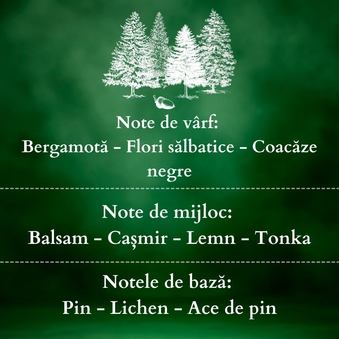 🌲ENCHANTED FOREST🪵 Lumânare parfumată decorativă, ceară naturală handmade - Pin, Lemn, Flori Sălbatice