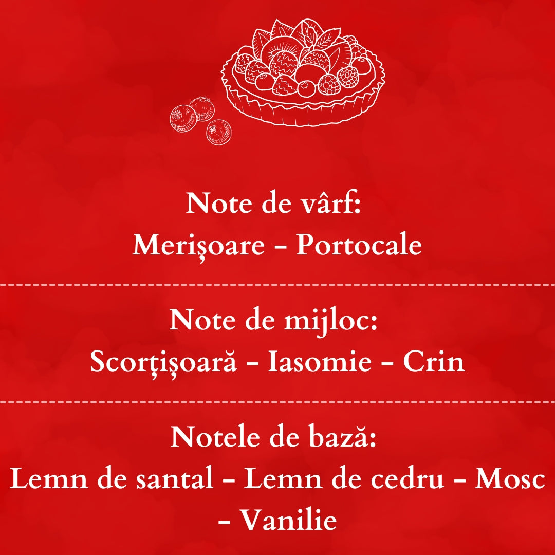 🍅CRANBERRY TART🍰 Odorizant de cameră natural cu bețișoare, bază ECO-FRIENDLY, handmade - Merișoare, Scorțișoară, Lemn de Santal