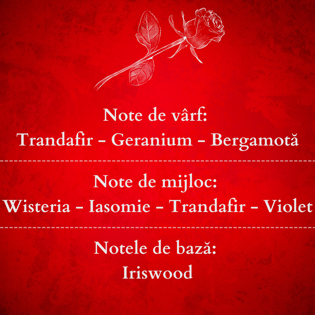 Set Cadou ROSES GARDEN – Lumânare Parfumată Naturală și Odorizant cu Bețișoare Premium, Intensitate Medie