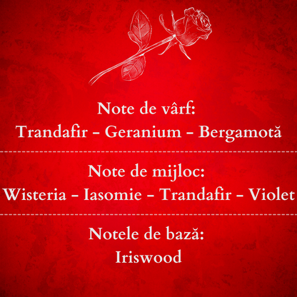 Set Cadou ROSES GARDEN – Lumânare Parfumată Naturală și Odorizant cu Bețișoare Premium, Intensitate Medie