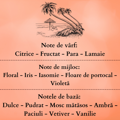 Set Cadou SUMMER NIGHT – Lumânare Parfumată Naturală și Odorizant cu Bețișoare Premium, Intensitate Subtilă