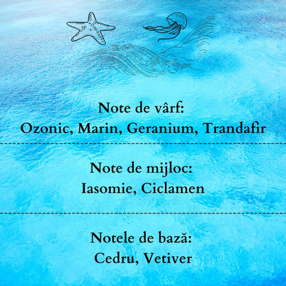 🌊MARINE BREEZE🐚 Odorizant de cameră natural cu bețișoare, bază ECO-FRIENDLY, handmade - Ozonic, Aer Curat, Briza Mării