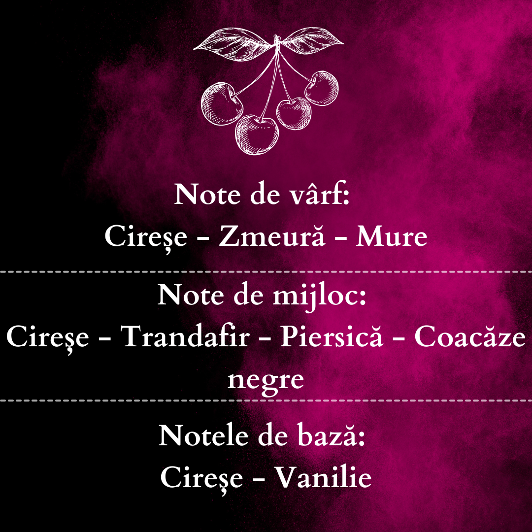Set Cadou BLACK CHERRY – Lumânare Parfumată Naturală și Odorizant cu Bețișoare Premium, Intensitate Puternică