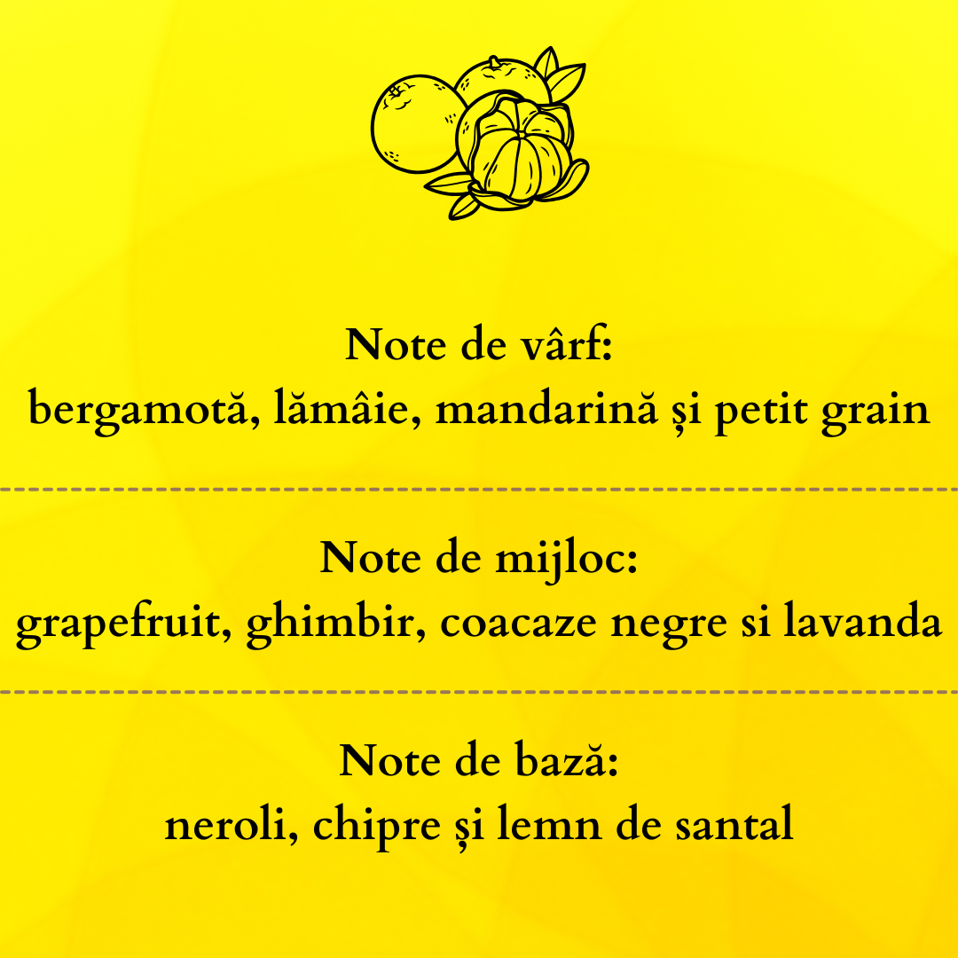 Set Cadou IMPERIAL – Lumânare Parfumată Naturală și Odorizant cu Bețișoare Premium, Intensitate Puternică