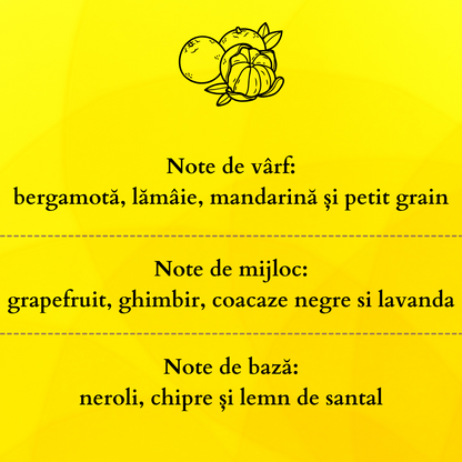 Set Cadou IMPERIAL – Lumânare Parfumată Naturală și Odorizant cu Bețișoare Premium, Intensitate Puternică