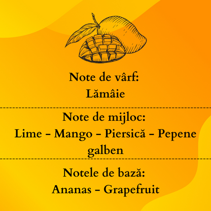 Set Cadou SWEET MANGO – Lumânare Parfumată Naturală și Odorizant cu Bețișoare Premium, Intensitate Puternică