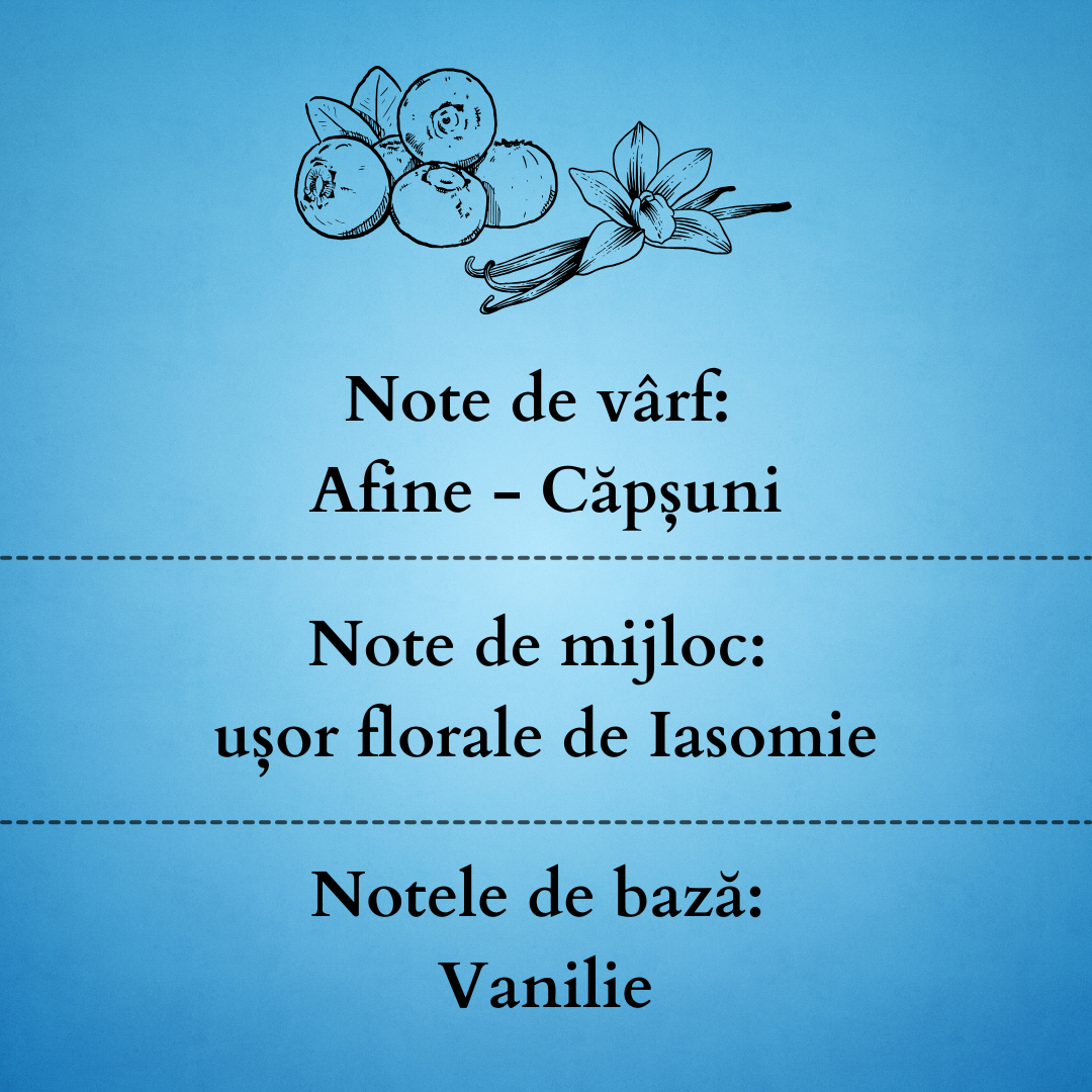 Set Cadou BLUEBERRY VANILLA – Lumânare Parfumată Naturală și Odorizant cu Bețișoare Premium, Intensitate Puternică