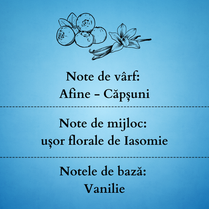 Set Cadou BLUEBERRY VANILLA – Lumânare Parfumată Naturală și Odorizant cu Bețișoare Premium, Intensitate Puternică