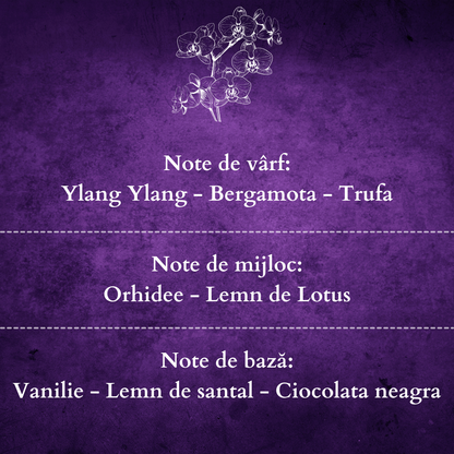 Set Cadou BLACK ORCHID – Lumânare Parfumată Naturală și Odorizant cu Bețișoare Premium, Intensitate Puternică