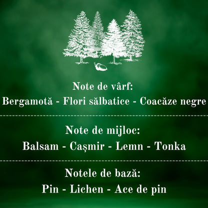 🌲ENCHANTED FOREST🪵 Lumânare parfumată decorativă, ceară naturală handmade