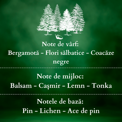 Set Cadou ENCHANTED FOREST – Lumânare Parfumată Naturală și Odorizant cu Bețișoare Premium, Intensitate Puternică