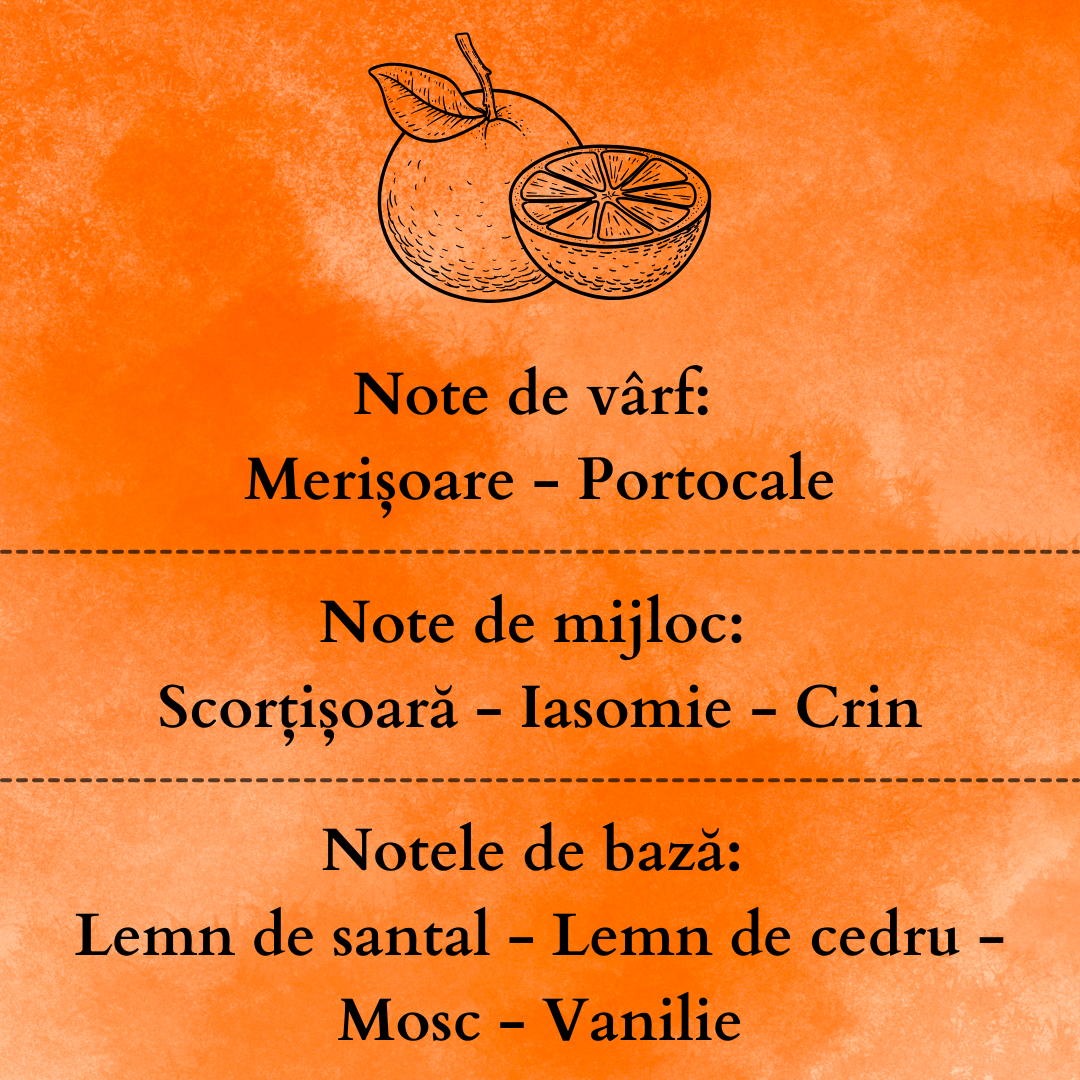 Set Cadou SWEET ORANGE – Lumânare Parfumată Naturală și Odorizant cu Bețișoare Premium, Intensitate Medie